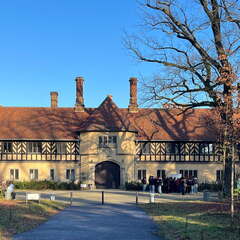 24-12-05 12-08-49 1549